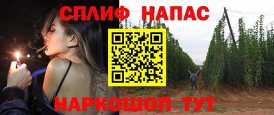 дмт Дубна