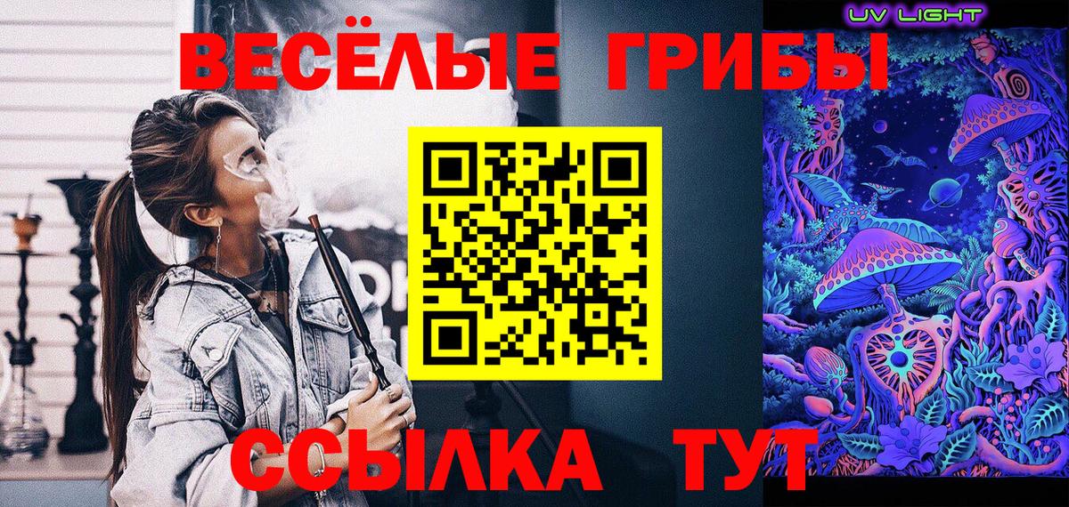 Псилоцибиновые грибы Magic Shrooms Гатчина
