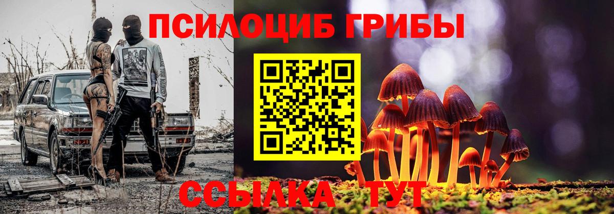 Псилоцибиновые грибы Psilocybe  Вход с VPN  Гатчина  Галлюциногенные грибы GOLDEN TEACHER 